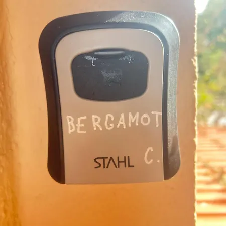 דירה Bergamot With Terrace And Sea View סקליאה