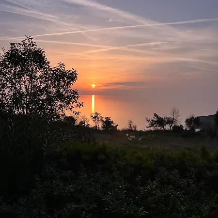 Appartement Bergamot With Terrace And Sea View Scalea